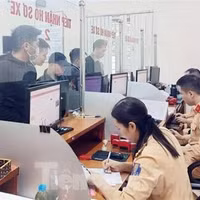 Tin postcad 12/7/2026: Hà Nội triển khai tiện ích tra cứu giấy phép lái xe trên môi trường số