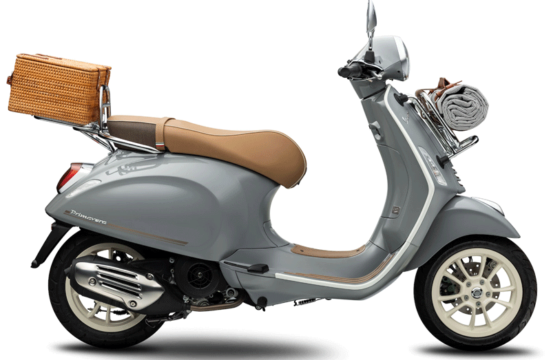 Phiên bản màu xám