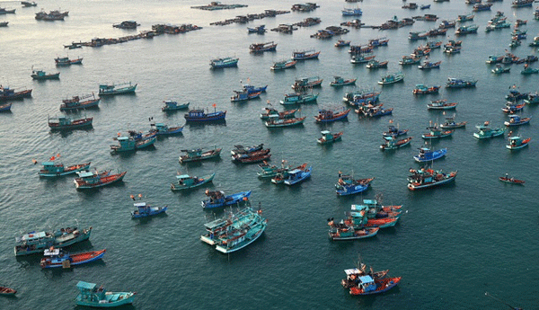 Phú Quốc khai trương cáp treo Hòn Thơm dài nhất thế giới ảnh 8 Phú Quốc khai trương cáp treo Hòn Thơm dài nhất thế giới ảnh 8