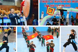 Tưng bừng khai mạc Giải võ thuật cổ truyền Hà Nội mở rộng 2025
