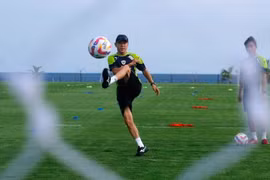 Thông tin HLV Shin Tae-yong dẫn dắt Đội tuyển thiếu niên quốc gia Indonesia là giả mạo