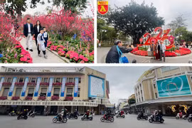 Không gian quang đãng, du khách thỏa sức du xuân giữa 'lẵng hoa của Thủ đô'