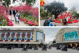 Không gian quang đãng, du khách thỏa sức du xuân giữa 'lẵng hoa của Thủ đô'