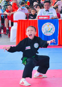 Sôi nổi tranh tài, lan tỏa tinh thần võ học