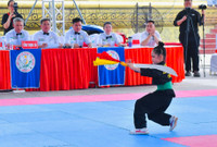 Sôi nổi tranh tài, lan tỏa tinh thần võ học