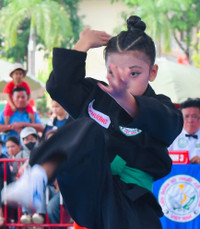 Sôi nổi tranh tài, lan tỏa tinh thần võ học