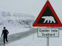 Khám phá vùng đất của băng và gấu Bắc Cực nơi 