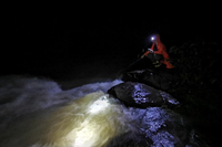 Kỳ lạ hiện tượng thiên nhiên, tôm 