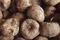 Loài cây ra hoa kỳ dị, được làm món ăn cực ngon và là dược liệu quý