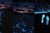 Bí ẩn về bãi biển huyền ảo đến vô thực, được ví như dải Ngân hà