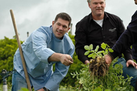 Khoai tây đắt nhất thế giới, giá lên tới vài chục triệu đồng/kg