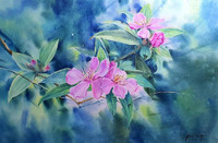 Tranh màu nước vẽ cỏ cây hoa lá đầy sinh động của họa sĩ Nguyễn Đình Đức