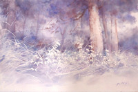 Tranh màu nước vẽ cỏ cây hoa lá đầy sinh động của họa sĩ Nguyễn Đình Đức