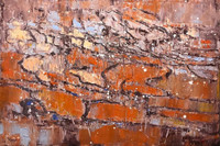 Những bức tranh... đi “Gieo tổ ấm”