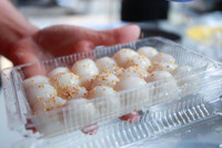 Tết Hàn thực của người Hà Nội 