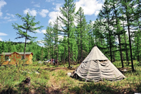 Bộ tộc săn bắn cuối cùng sống nhờ vào tuần lộc