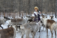 Bộ tộc săn bắn cuối cùng sống nhờ vào tuần lộc