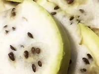 Vùng đất nơi có dưa hấu mọc la liệt nhưng không ai dám ăn