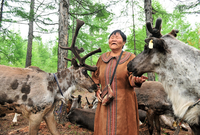 Bộ tộc săn bắn cuối cùng sống nhờ vào tuần lộc