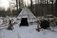 Bộ tộc săn bắn cuối cùng sống nhờ vào tuần lộc