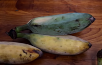 Giống chuối kỳ lạ có màu xanh biếc, thơm như kem vani