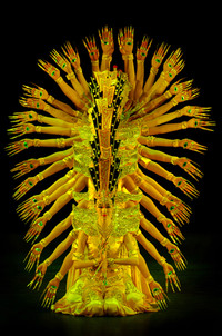 [Ảnh] Mãn nhãn với hình ảnh đất nước, con người ASEAN