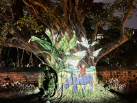 Khám phá tour Đêm Văn Miếu - Quốc Tử Giám