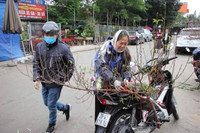 Đào Nhật Tân xuống phố 