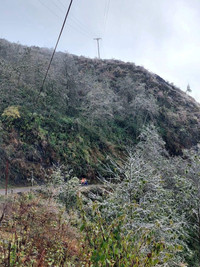 Cán bộ ngành điện 