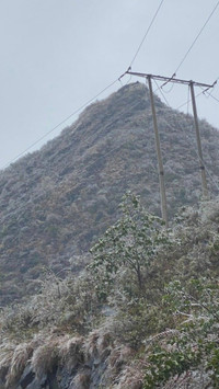 Cán bộ ngành điện 