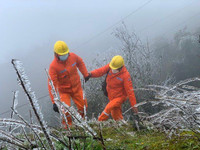 Cán bộ ngành điện 