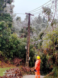 Cán bộ ngành điện 