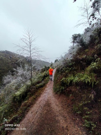 Cán bộ ngành điện 