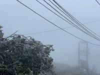 Cán bộ ngành điện 