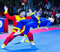 Mãn nhãn màn biểu diễn đấu võ cổ truyền vô địch quốc gia 2025 