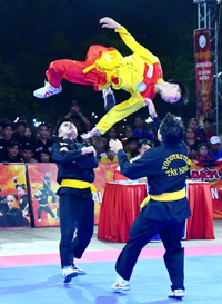 Mãn nhãn màn biểu diễn đấu võ cổ truyền vô địch quốc gia 2025 