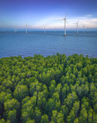 Các bức ảnh đoạt giải cao tại Festival Nhiếp ảnh trẻ 2023