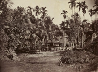 Ảnh quý về Nam Kỳ cuối thế kỷ 19 đầu thế kỷ 20