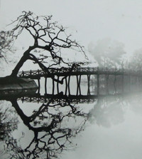 Những bức ảnh đen trắng quý giá về Hà Nội của nghệ sĩ nhiếp ảnh Lê Vượng