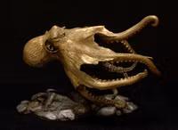 Khám phá bí mật về loài 