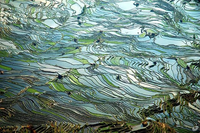 Những kiệt tác ruộng bậc thang đẹp nhất trên khắp thế giới