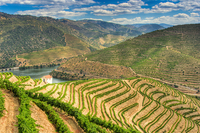 Những kiệt tác ruộng bậc thang đẹp nhất trên khắp thế giới