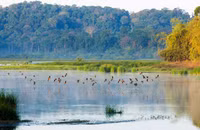 Những vườn quốc gia ấn tượng tại Việt Nam