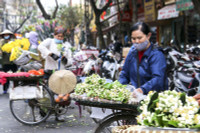 Có một Hà Nội ngát hương hoa bưởi