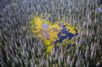 Choáng ngợp với vẻ đẹp thiên nhiên khiến bạn ao ước khám phá