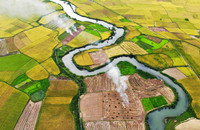 Ngắm mùa vàng Bắc Sơn từ trên cao