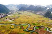 Ngắm mùa vàng Bắc Sơn từ trên cao