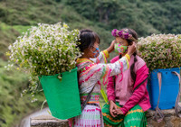 Khoảnh khắc ghi ở Hà Giang chung sống an toàn với dịch Covid-19