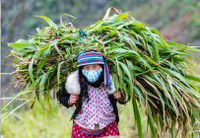 Khoảnh khắc ghi ở Hà Giang chung sống an toàn với dịch Covid-19