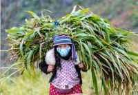 Khoảnh khắc ghi ở Hà Giang chung sống an toàn với dịch Covid-19